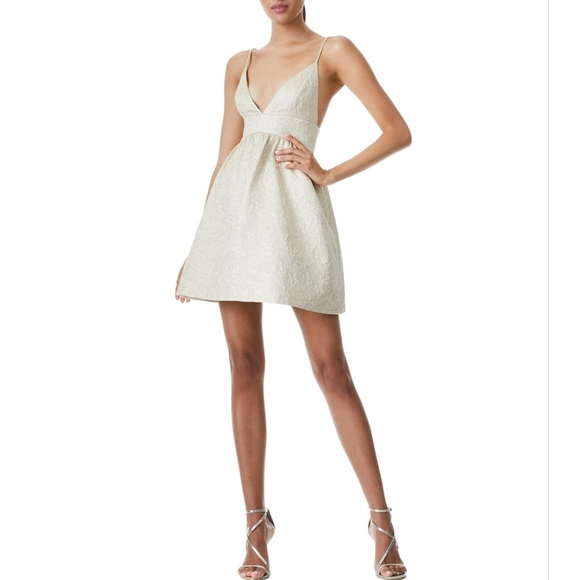 Alice + Olivia Dresses & Skirts - NWT Alice + Olivia Foley Curved Waist Party Dress, Size 8, Color Gold.